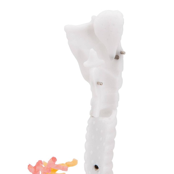 Bronchial Tree Model with Larynx