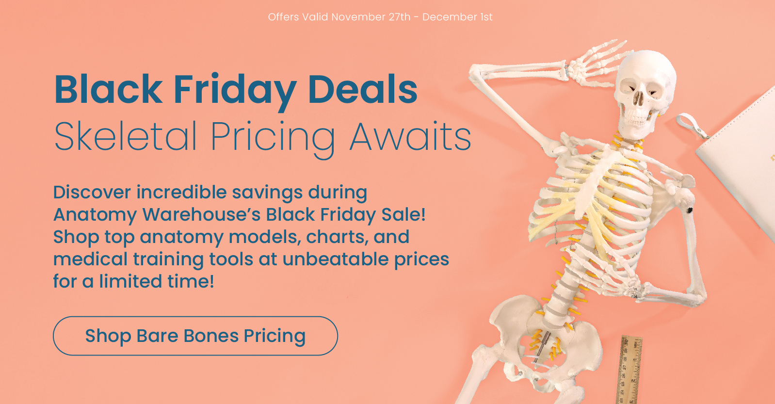 Discover incredible savings during Anatomy Warehouse’s Black Friday Sale!
Shop top anatomy models, charts, and medical training tools at unbeatable prices for a limited time!