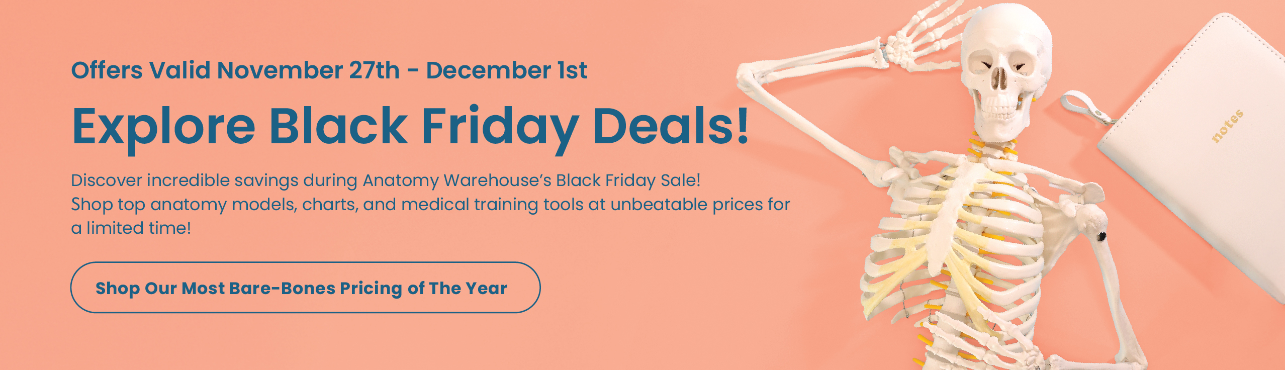 Discover incredible savings during Anatomy Warehouse’s Black Friday Sale!
Shop top anatomy models, charts, and medical training tools at unbeatable prices for a limited time!